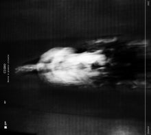 Charger l'image dans la galerie, Cygne - "Mort et pleurs rituels"
